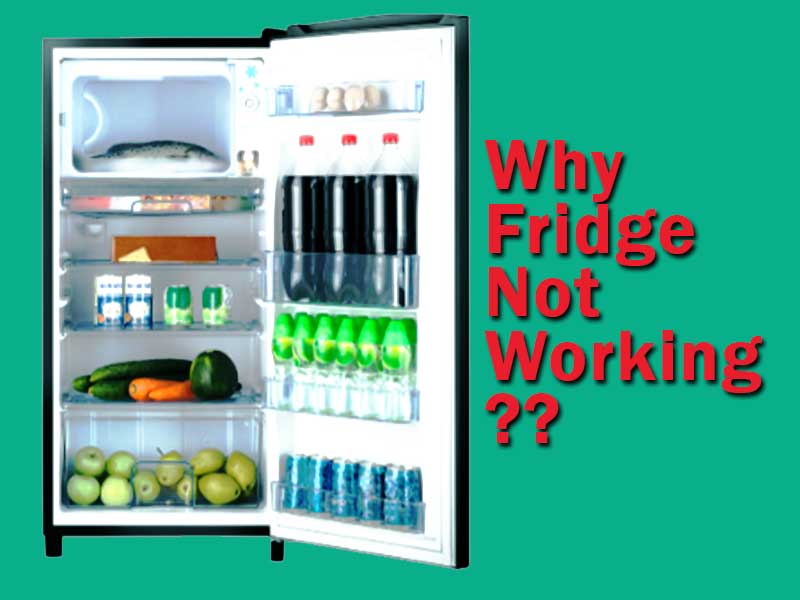 Why fridge not working after moving